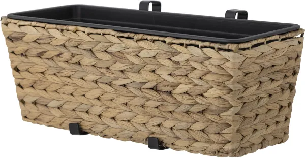 Raul, Blumentopf, natur, natur